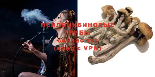 тгк Абдулино