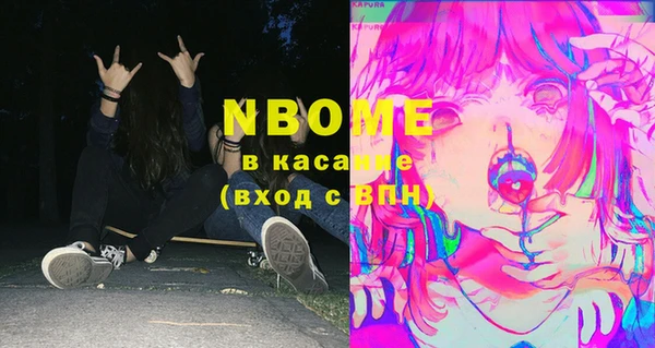индика Михайловск