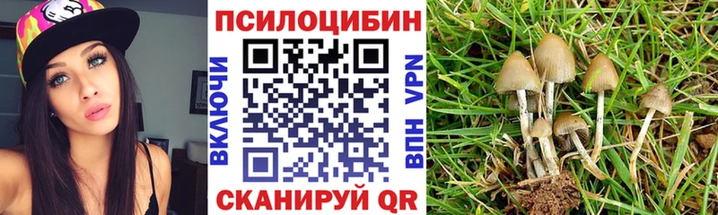 Псилоцибиновые грибы GOLDEN TEACHER  где найти наркотики  Усть-Кут 