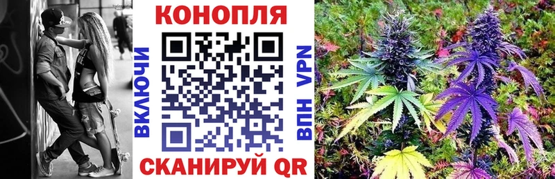 Конопля гибрид  Усть-Кут 